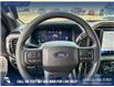 2025 Ford F-150 STX (Stk: 25T1278) in Red Deer - Image 13 of 24