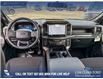 2025 Ford F-150 STX (Stk: 25T1278) in Red Deer - Image 23 of 24