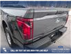 2025 Ford F-150 XL (Stk: 25CT9025) in Canmore - Image 11 of 25