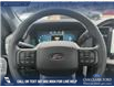 2025 Ford F-150 XL (Stk: 25CT9025) in Canmore - Image 14 of 25