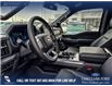 2025 Ford F-150 XLT (Stk: 25T7214) in Red Deer - Image 12 of 24