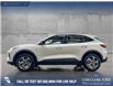2026 Ford Escape ST-Line (Stk: 26CS7925) in Canmore - Image 4 of 26