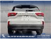 2026 Ford Escape ST-Line (Stk: 26CS7925) in Canmore - Image 6 of 26