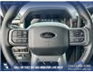 2025 Ford F-150 Lariat (Stk: 25AT8725) in Airdrie - Image 14 of 25