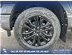 2025 Ford F-150 XLT (Stk: 25AT2383) in Airdrie - Image 6 of 25
