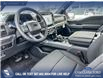 2025 Ford F-150 XLT (Stk: 25AT2383) in Airdrie - Image 13 of 25