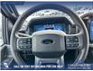 2025 Ford F-150 XLT (Stk: 25AT4374) in Airdrie - Image 14 of 25