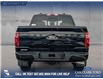 2025 Ford F-150 XLT (Stk: 25AT4343) in Airdrie - Image 5 of 25