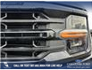 2025 Ford F-150 XLT (Stk: 25AT4343) in Airdrie - Image 8 of 25