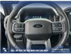 2025 Ford F-150 XLT (Stk: 25AT4343) in Airdrie - Image 14 of 25
