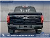 2025 Ford F-150 XLT (Stk: 25AT4328) in Airdrie - Image 5 of 25