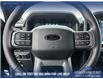 2025 Ford F-150 XLT (Stk: 25AT4328) in Airdrie - Image 14 of 25