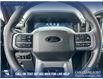2025 Ford F-150 XLT (Stk: 25AT3591) in Airdrie - Image 13 of 24