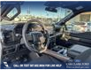 2025 Ford F-150 STX (Stk: 25T4170) in Olds - Image 13 of 25