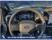 2025 Ford F-150 STX (Stk: 25T4170) in Olds - Image 14 of 25