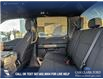2025 Ford F-150 STX (Stk: 25T4170) in Olds - Image 23 of 25