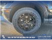 2026 Ford Bronco Sport Badlands (Stk: 26S4569) in Olds - Image 6 of 25