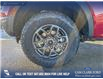 2026 Ford Ranger XLT (Stk: 26T2944) in Olds - Image 6 of 25