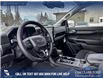 2026 Ford Ranger XLT (Stk: 26T8747) in Olds - Image 12 of 24