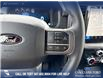 2026 Ford F-150 XLT (Stk: 26T9881) in Red Deer - Image 15 of 24