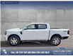 2026 Ford Ranger Lariat (Stk: 26T3075) in Red Deer - Image 3 of 24 2026 Ford Ranger Lariat (Stk: 26T3075) in Red Deer - Image 3 of 24