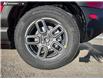 2026 Ford Bronco Sport Big Bend (Stk: 26S0147) in Olds - Image 6 of 24 2026 Ford Bronco Sport Big Bend (Stk: 26S0147) in Olds - Image 6 of 24