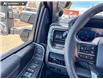 2026 Ford F-350 Platinum (Stk: 26T6089) in Red Deer - Image 16 of 24