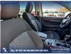 2026 Ford Ranger XLT (Stk: 26T7791) in Red Deer - Image 21 of 24