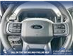 2026 Ford F-150 XLT (Stk: 26AT1784A) in Airdrie - Image 14 of 25