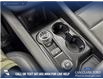 2026 Ford Explorer Active (Stk: 26S5240) in Red Deer - Image 18 of 25
