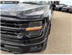 2026 Ford F-150 XLT (Stk: 26T9443) in Red Deer - Image 8 of 24