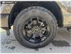 2026 Ford F-150 STX (Stk: 26T3374) in Olds - Image 6 of 25