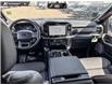 2026 Ford F-150 Tremor (Stk: 26T6832) in Red Deer - Image 23 of 24 2026 Ford F-150 Tremor (Stk: 26T6832) in Red Deer - Image 23 of 24