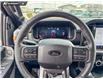 2026 Ford F-150 Tremor (Stk: 26T6955) in Red Deer - Image 13 of 24