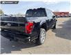 2026 Ford F-150 Platinum (Stk: 26T6994) in Red Deer - Image 11 of 24 2026 Ford F-150 Platinum (Stk: 26T6994) in Red Deer - Image 11 of 24