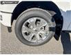 2026 Ford F-150 Platinum (Stk: 26T5778) in Red Deer - Image 6 of 24 2026 Ford F-150 Platinum (Stk: 26T5778) in Red Deer - Image 6 of 24