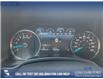 2020 Ford F-150 Lariat (Stk: P1318) in Canmore - Image 15 of 25