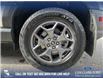 2023 Ford Bronco Sport Badlands (Stk: P1337) in Canmore - Image 7 of 26