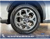 2021 Subaru Crosstrek Outdoor (Stk: BJ194) in Airdrie - Image 6 of 25