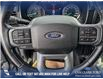 2022 Ford F-150 XLT (Stk: P6510) in Olds - Image 15 of 24