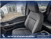 2022 Ford F-150 XLT (Stk: P6510) in Olds - Image 19 of 24