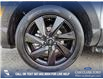 2024 Hyundai Santa Cruz Ultimate (Stk: U37319) in Red Deer - Image 6 of 25