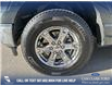 2021 Ford F-150 XLT (Stk: P6539) in Olds - Image 6 of 25