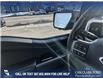 2021 Ford F-150 XLT (Stk: P6539) in Olds - Image 17 of 25