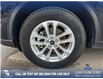 2023 Ford Escape PHEV (Stk: P6546) in Olds - Image 6 of 25