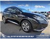 2023 Nissan Murano S (Stk: P1041) in Innisfail - Image 5 of 12