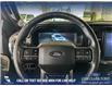 2024 Ford F-150 Platinum (Stk: RC19574) in Airdrie - Image 14 of 25