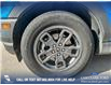 2022 Ford Bronco Sport Big Bend (Stk: P6558) in Olds - Image 6 of 25