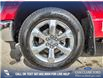 2022 Ford F-150 King Ranch (Stk: U37637) in Red Deer - Image 6 of 25