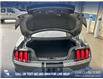 2021 Ford Mustang GT (Stk: P6530) in Olds - Image 12 of 25